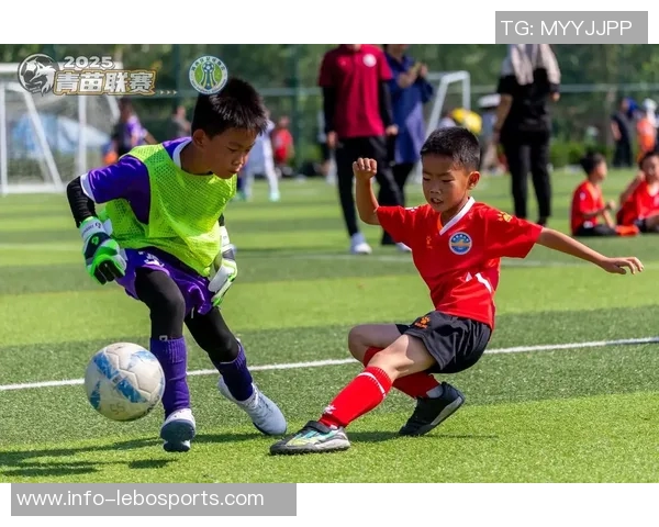 精彩足球盛宴尽在眼前球场上的激情与梦想交织成辉煌